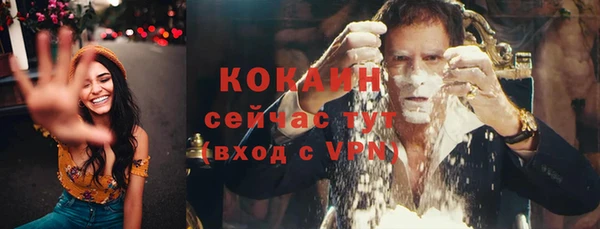 прущий лед Кедровый