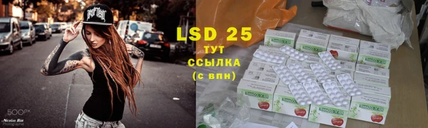 гашик Мегион