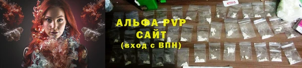 гашик Мегион