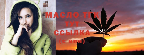 индика Кемь