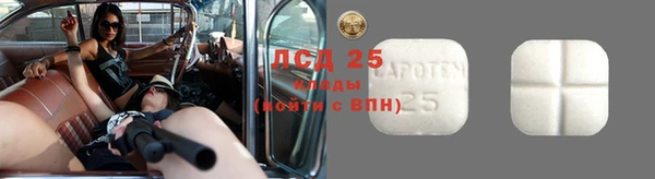 гашик Мегион