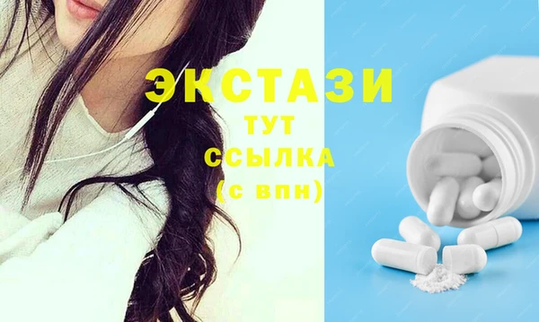 гашик Мегион