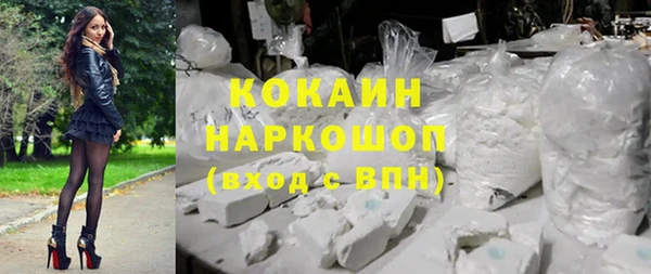 крисы Медвежьегорск